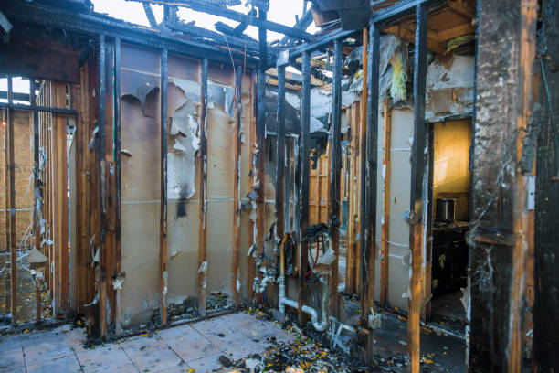 Professional Soot Cleanup technician working in Edmonston, MD